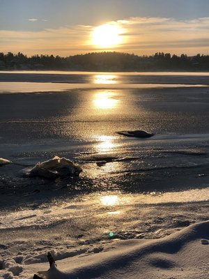 Vintersol ved fjorden 2.jpg