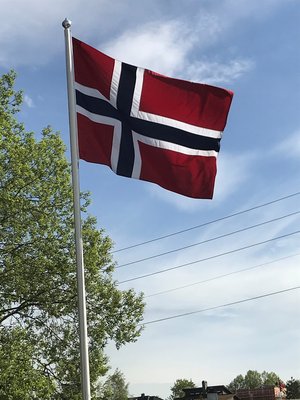 2022.05.16 Det norske flagg_foto PAVo (2).jpg